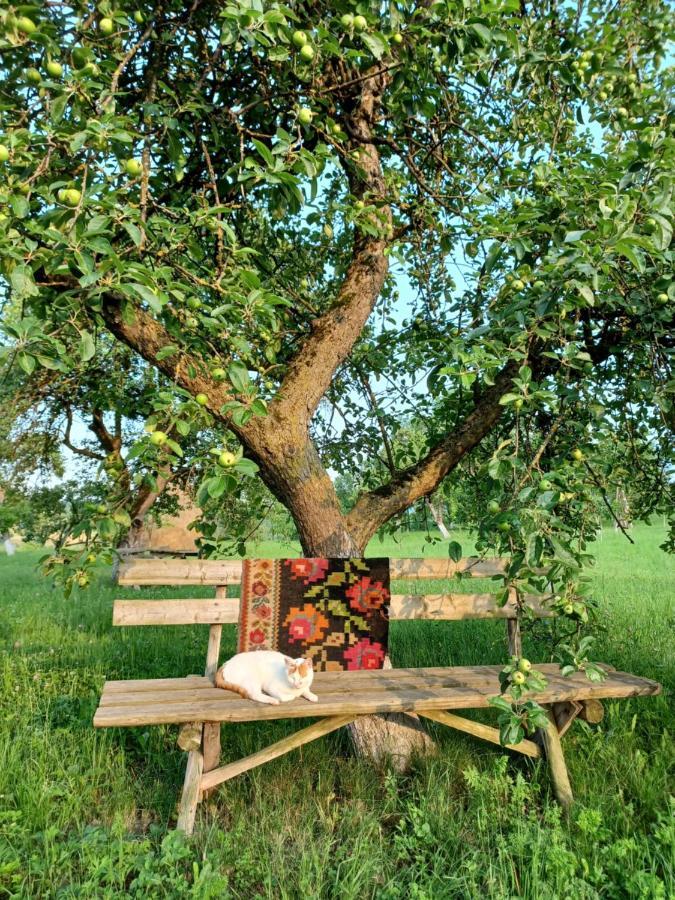 Pensiunea Agroturistica Casa Pribegilor Breb Exteriör bild