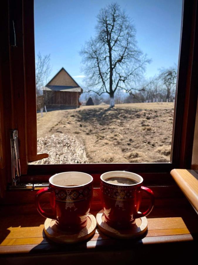Pensiunea Agroturistica Casa Pribegilor Breb Exteriör bild
